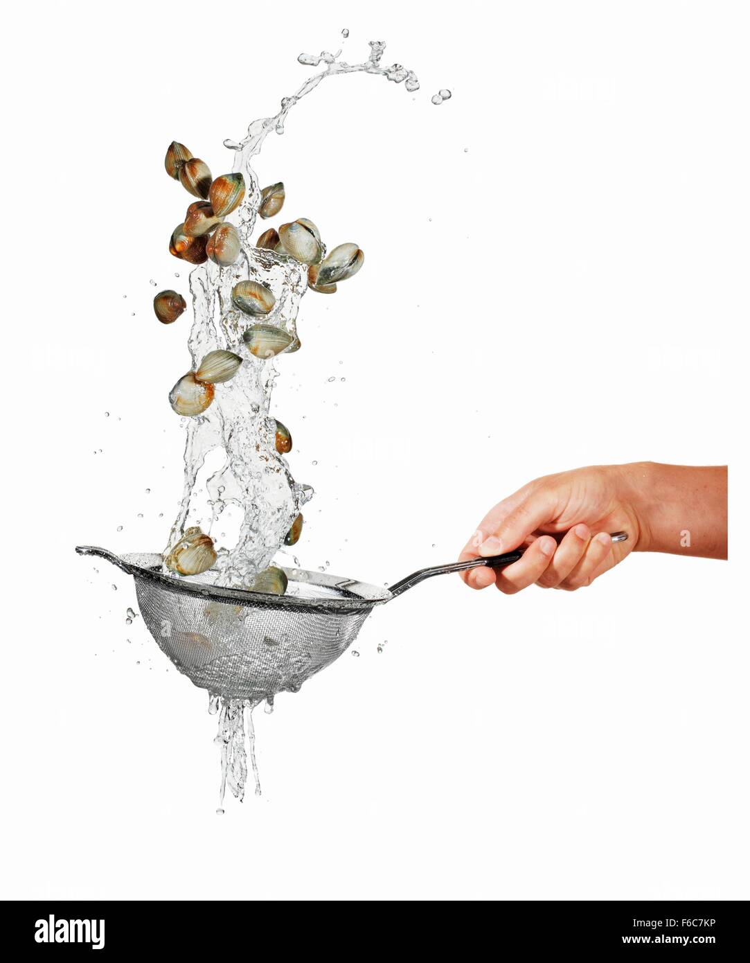 Lave-moules dans un tamis Banque D'Images