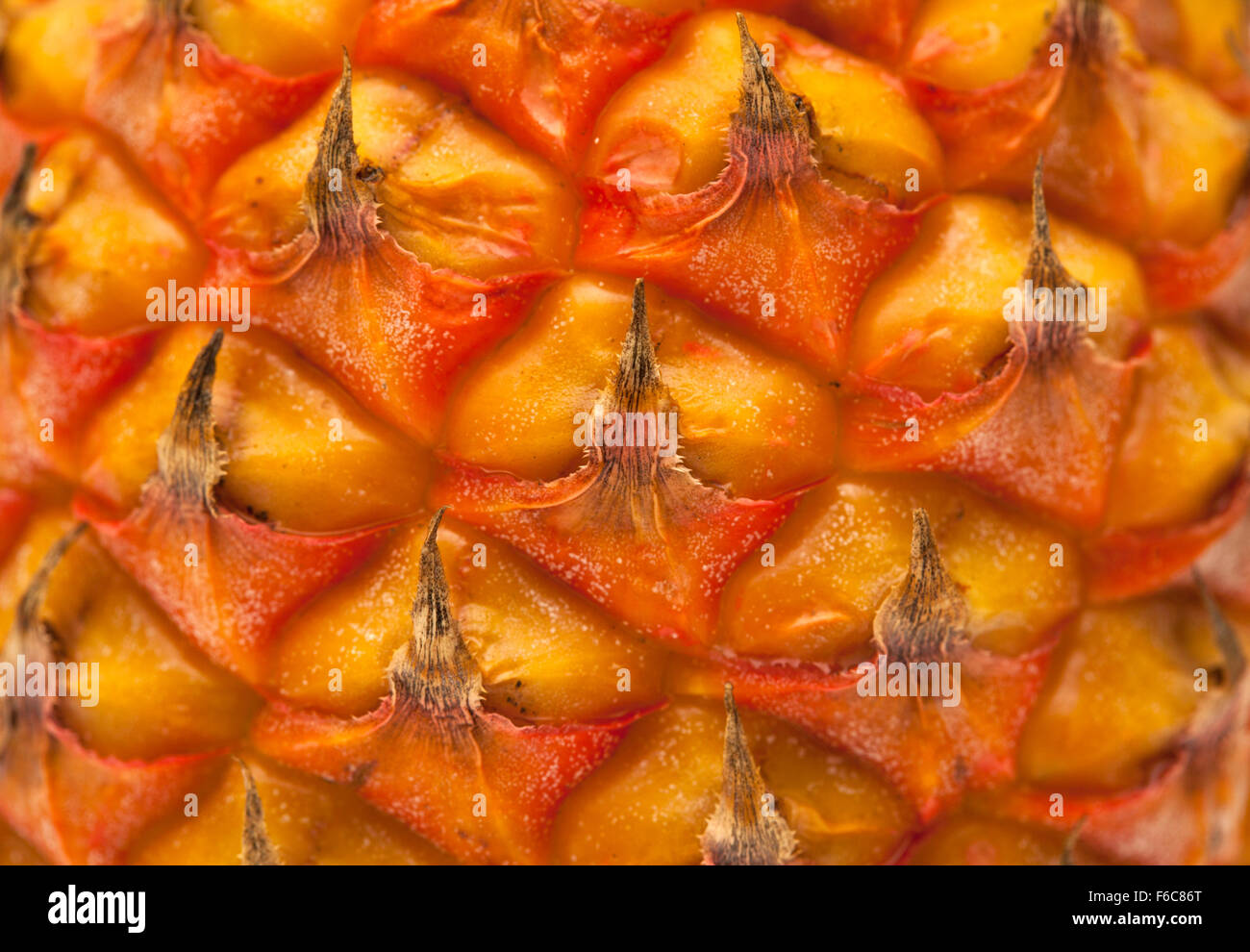 Jaune et rouge motif peau d'ananas libre contexte alimentaire Banque D'Images
