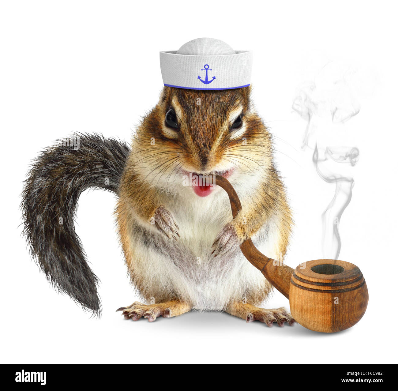 Funny animal marin, l'écureuil avec pipe Banque D'Images