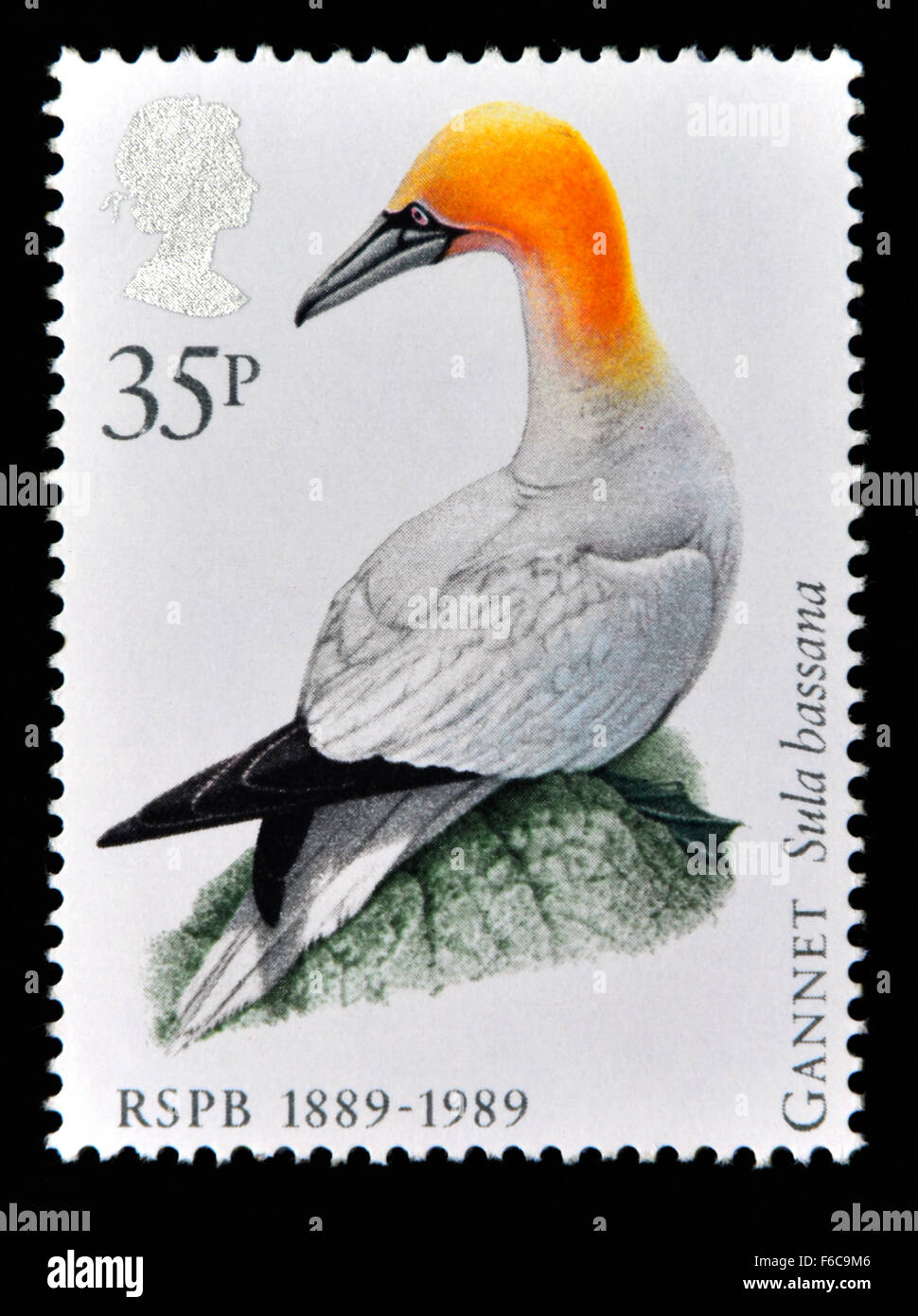 Timbre-poste. La Grande-Bretagne. La reine Elizabeth II. 1989. Centenaire de la Société royale pour la protection des oiseaux. 1889-1989. Banque D'Images