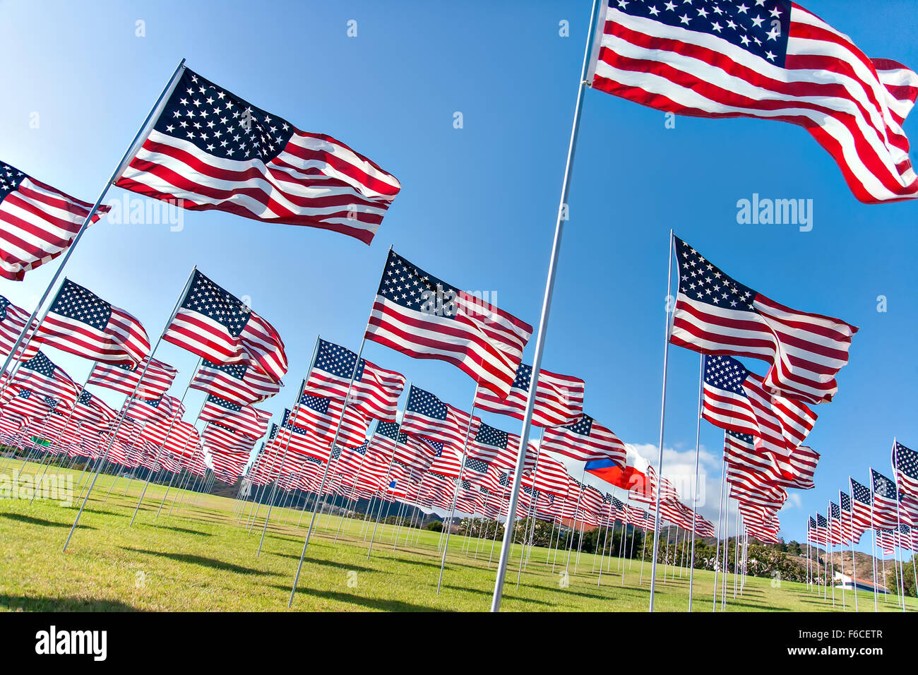 L'affichage des drapeaux américains sur Memorial Day los angeles Banque D'Images