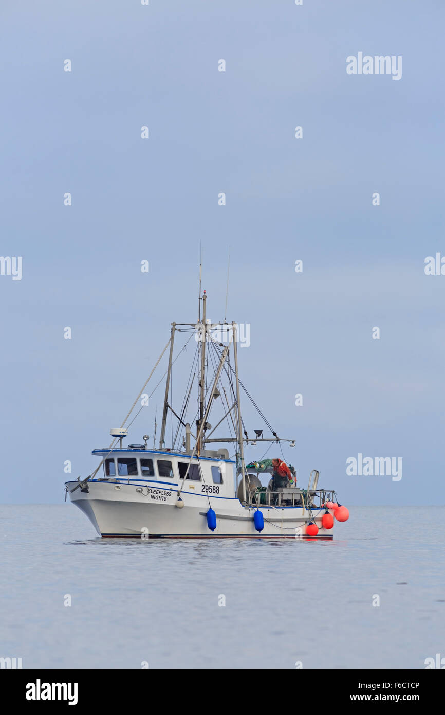 La pêche au filet maillant de saumon kéta dans le détroit de Géorgie, près de Nanaimo, île de Vancouver, Colombie-Britannique Banque D'Images