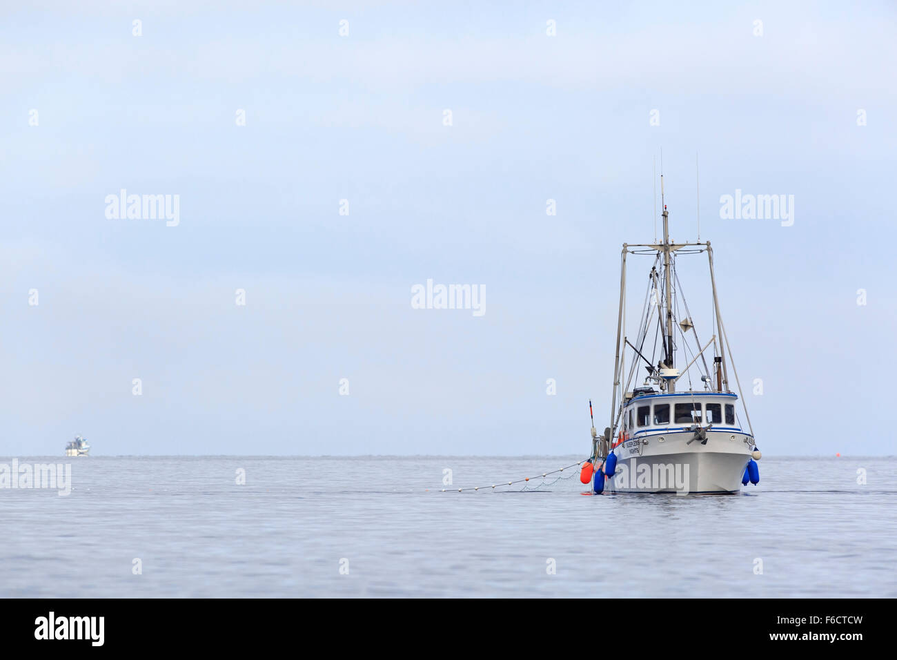 La pêche au filet maillant de saumon kéta dans le détroit de Géorgie, près de Nanaimo, île de Vancouver, Colombie-Britannique Banque D'Images