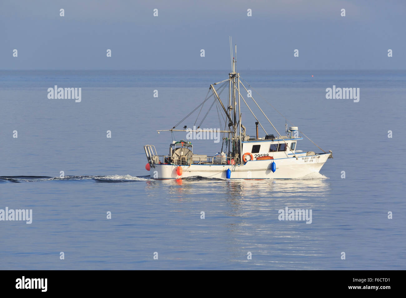 La pêche au filet maillant de saumon kéta dans le détroit de Géorgie, près de Nanaimo, île de Vancouver, Colombie-Britannique Banque D'Images
