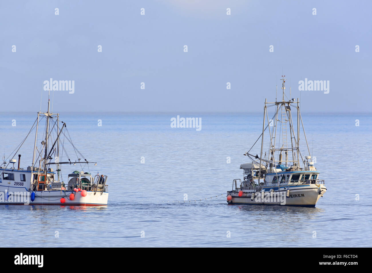 La pêche au filet maillant de saumon kéta dans le détroit de Géorgie, près de Nanaimo, île de Vancouver, Colombie-Britannique Banque D'Images