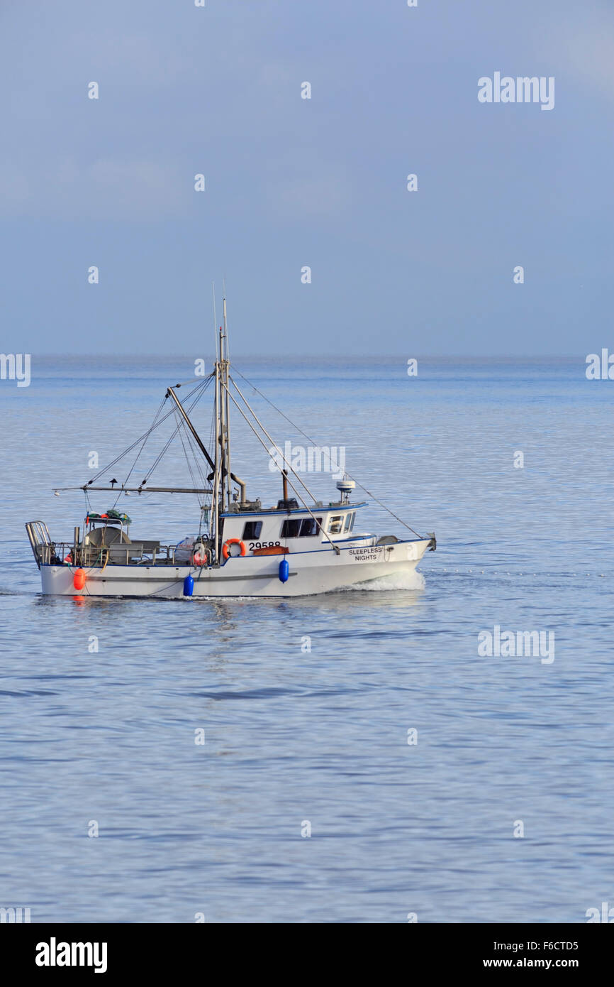 La pêche au filet maillant de saumon kéta dans le détroit de Géorgie, près de Nanaimo, île de Vancouver, Colombie-Britannique Banque D'Images