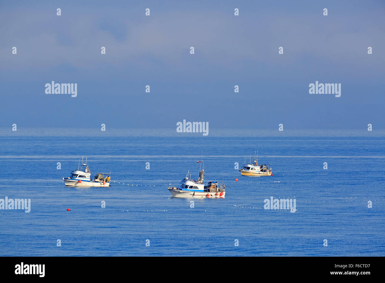 La pêche aux filets maillants pour le saumon kéta dans le détroit de Géorgie, près de Nanaimo, île de Vancouver, Colombie-Britannique Banque D'Images