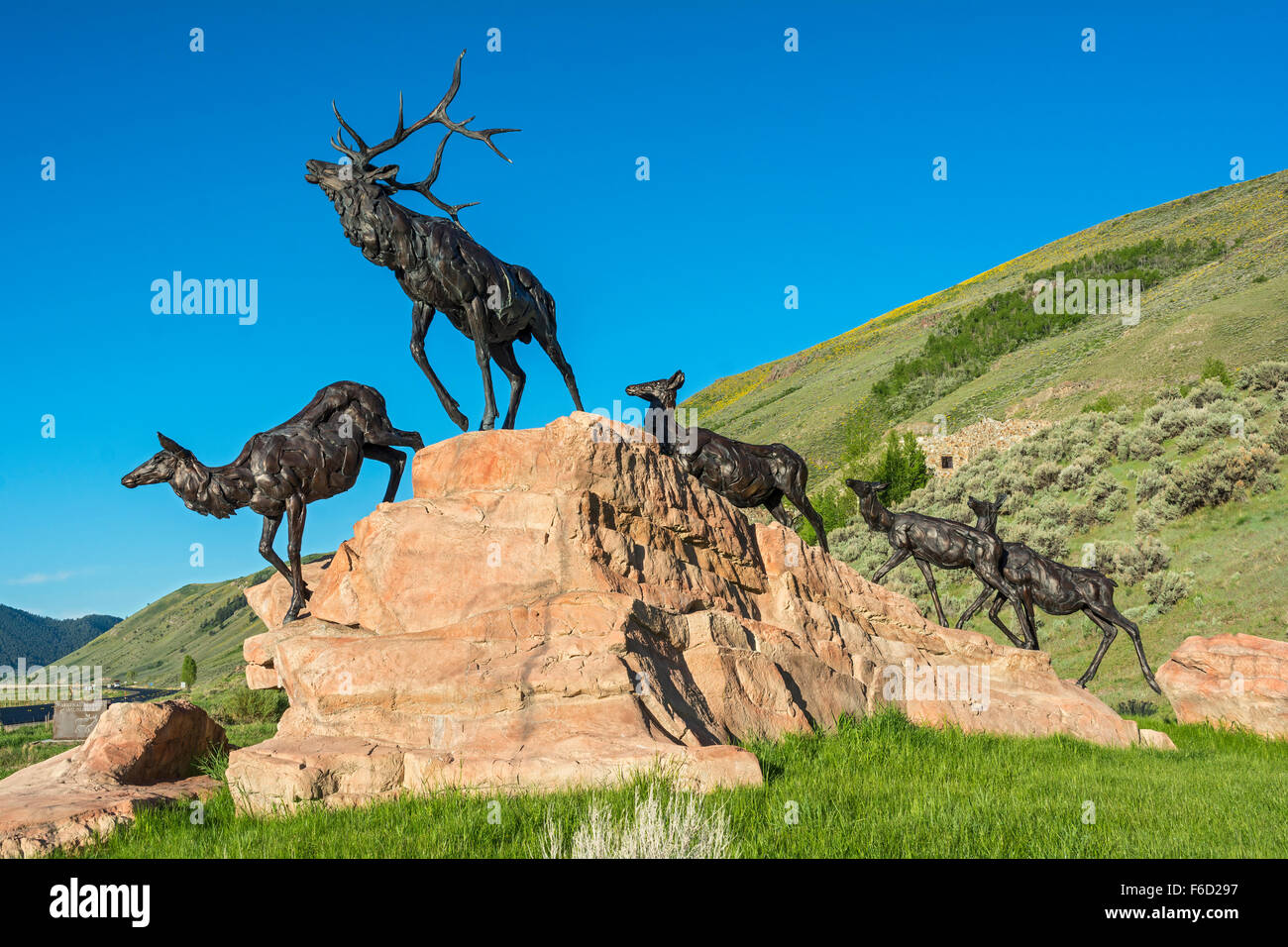 Le Wyoming, Jackson, Musée National d'Art animalier, 'Trail' Wapiti Wapiti sculpture par Bart Walter Banque D'Images