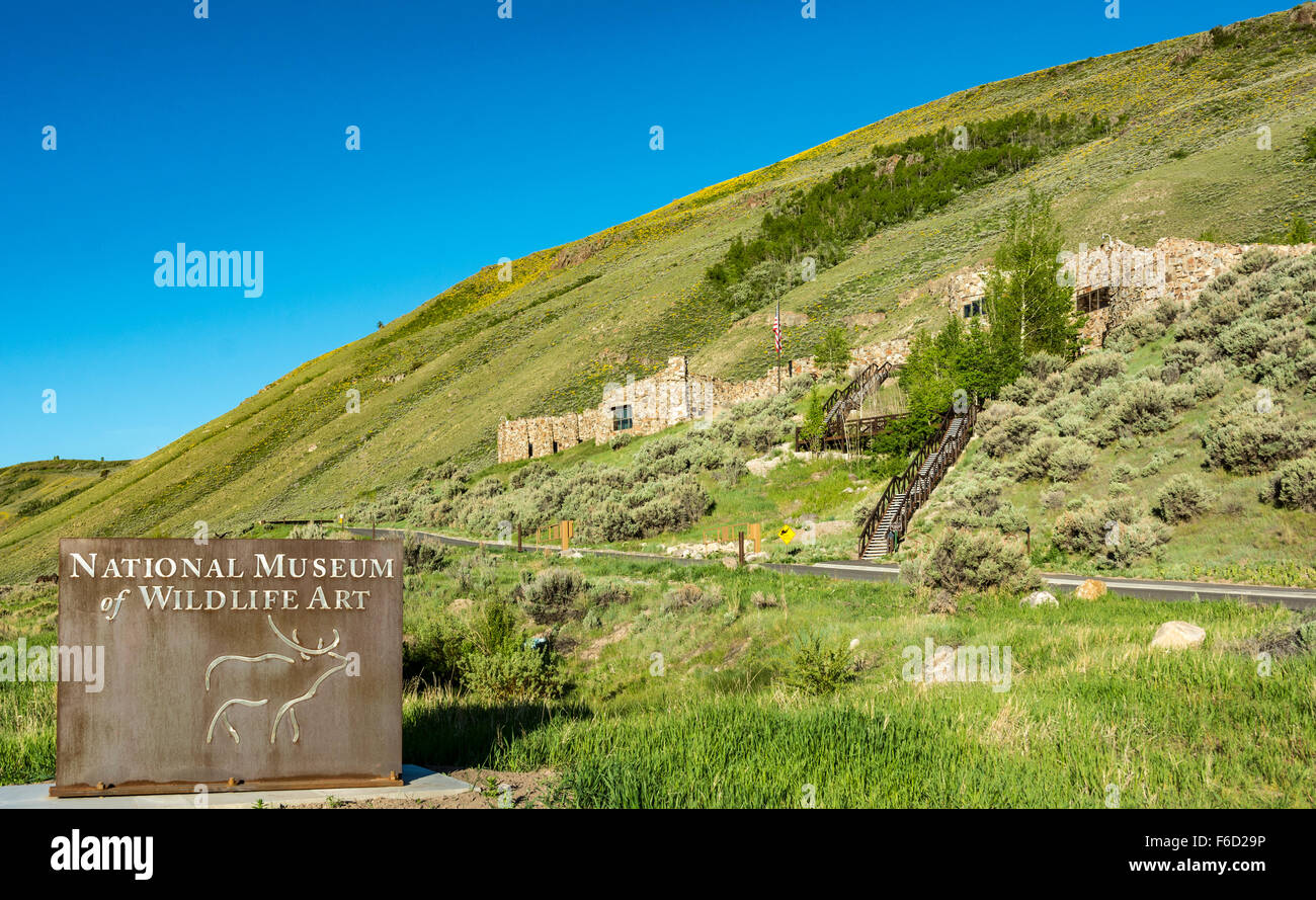 Le Wyoming, Jackson, Musée National d'Art de la faune Banque D'Images