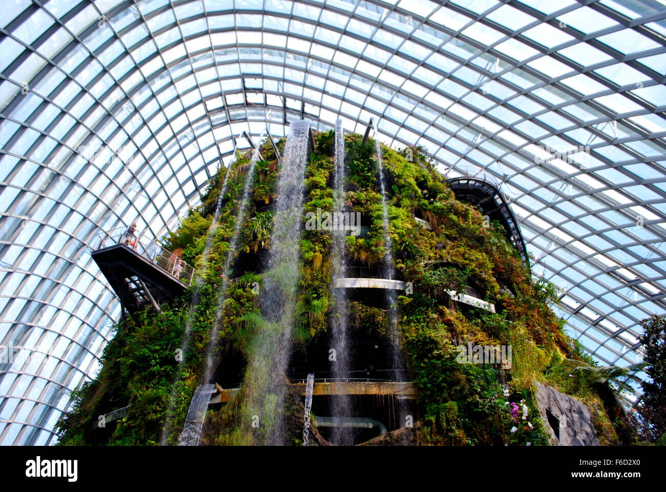 Les nuages du dôme à Gardens by the Bay, Singapour. Banque D'Images