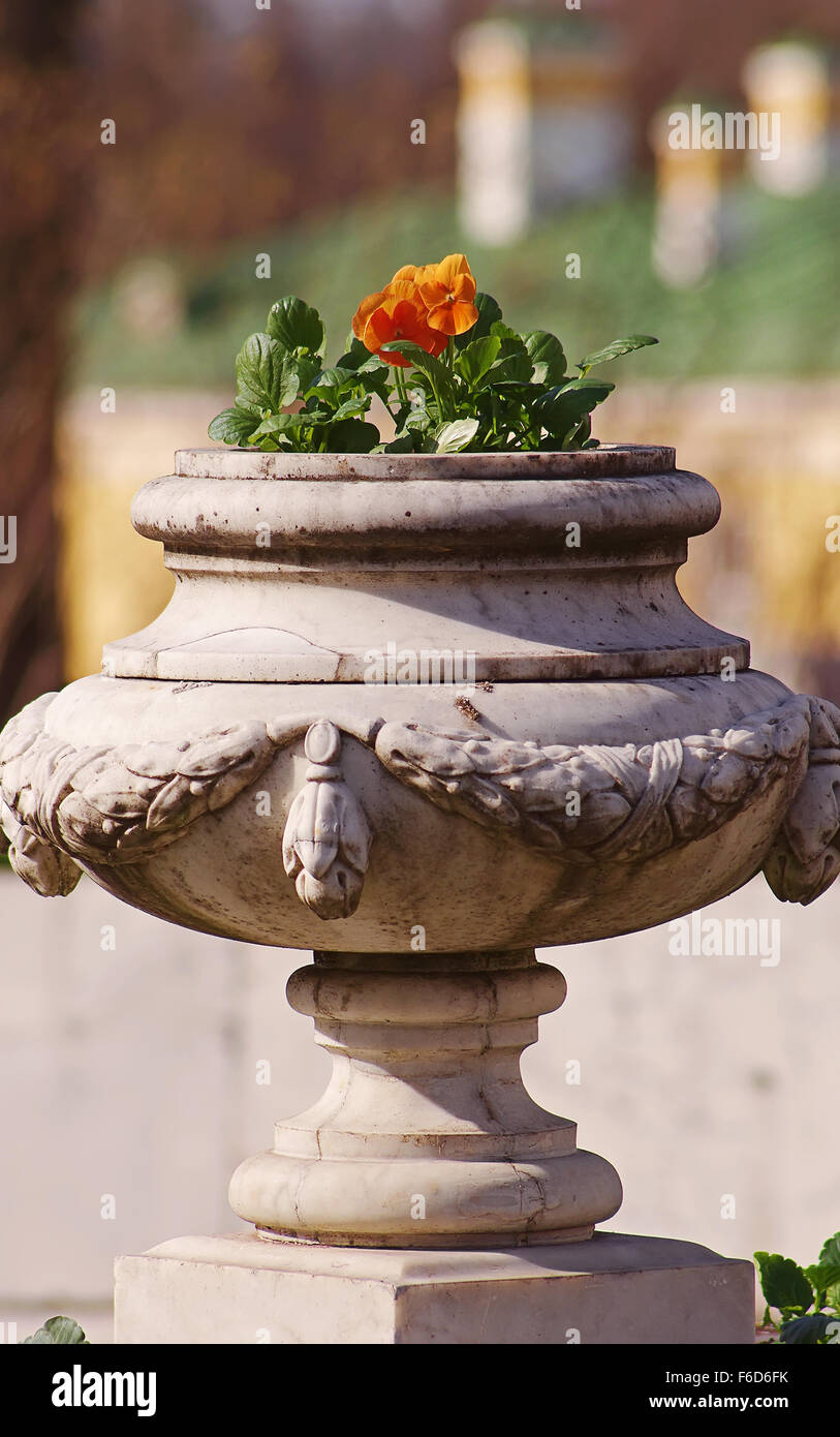 Vase avec fleurs dans le parc. Banque D'Images