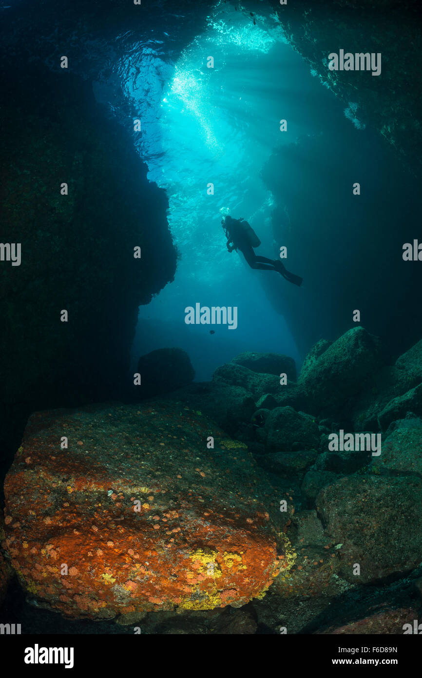 Plongée sous marine dans la grotte, La Paz, Baja California Sur, Mexique Banque D'Images