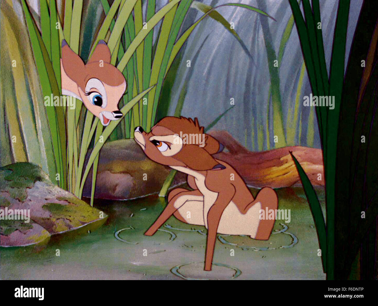 DATE DE SORTIE : Août 21, 1942. Titre du film : Bambi. STUDIO : Walt