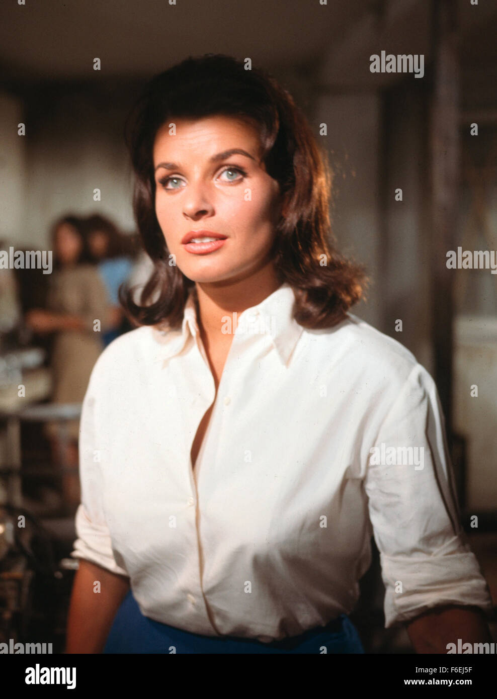 DATE DE SORTIE : 30 mars 1966. Titre du film : jeter une ombre géante. STUDIO : MGM. PLOT : Un officier de l'armée américaine est recruté par l'Israël d'exister encore pour les aider à créer une armée. Il est troublé par cette soudaine appel à ses racines juives. Chacun des voisins arabes d'Israël a promis d'envahir le pays mal préparé dès que la partition est accordée. Il est nommé commandant des forces israéliennes juste avant que la guerre commence. Sur la photo : Senta Berger comme Magda Simon. Banque D'Images