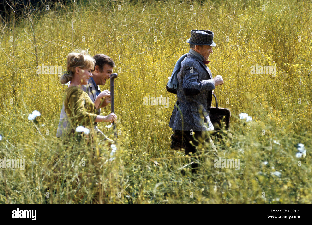 DATE DE SORTIE : 1968. STUDIO : Warner Brothers. Résumé : un mystérieux irlandais Finian, et sa belle fille Sharon, arriver un jour à Rainbow Valley, une petite ville méridionale de métayers du tabac dans la mythique état d'Missitucky. La ville a son propre rêveur résident, Woody Mahoney, qui pense qu'il pourrait être en mesure de mettre la ville sur la carte par le croisement avec le tabac menthe pour qu'elle grandira déjà mentholé. Finian's venu à la ville parce qu'il a volé un leprechaun's pot d'or et les plans à la planter dans le sol de sorte qu'il va croître plus rapidement. Mais bientôt arrive. Sur la photo : Petula Clark Banque D'Images