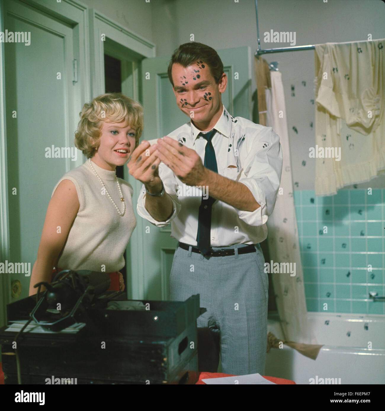 02 déc., 1965 ; Los Angeles, CA, USA ; une scène de 'Que Darn Cat'. Réalisé par Robert Stevenson. Banque D'Images