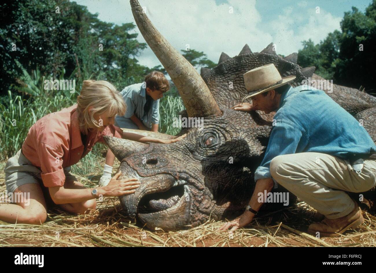 1 janvier, 1993 - ....Le Parc jurassique, Laura Dern, Joseph Mazzello, Sam Neill..le cinéma et la télévision. . Banque D'Images