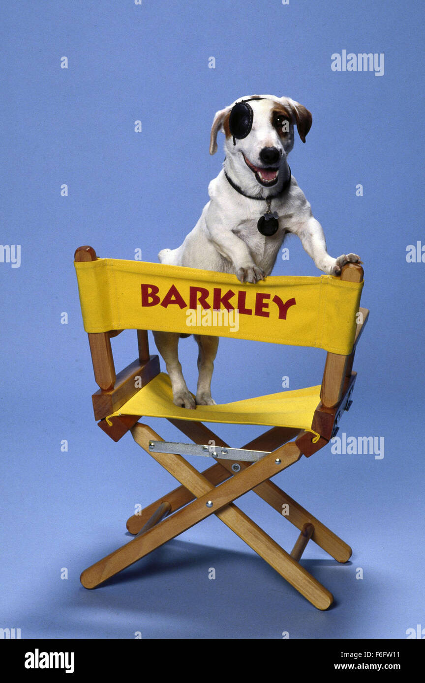 13 mai, 1994 ; Hollywood, CA, USA ; Image de Mick Jackson Directeur mystère comédie 'table rase' avec Barkley le chien comme bébé. Banque D'Images