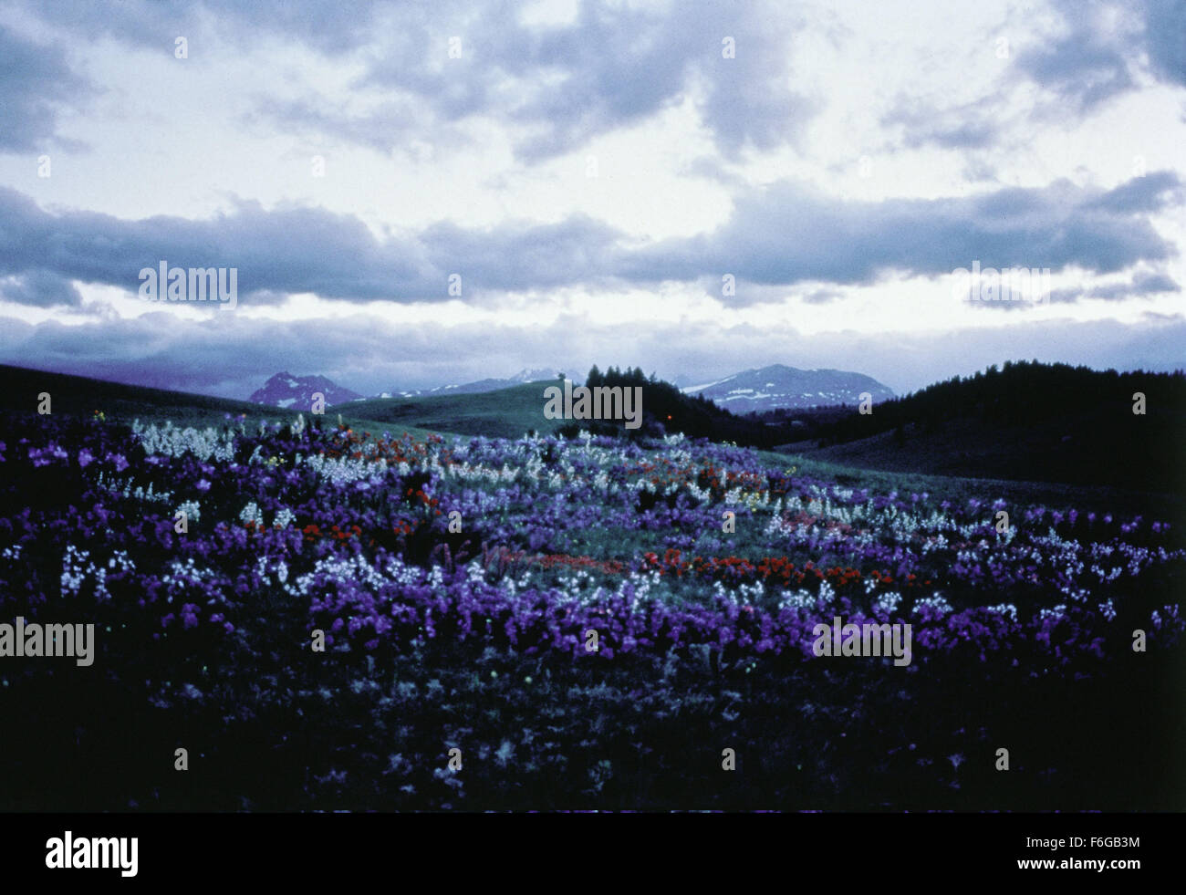 Jun 08, 1998 ; Hollywood, CA, USA ; Image de 'What Dreams May Come", réalisé par Vincent Ward. Banque D'Images