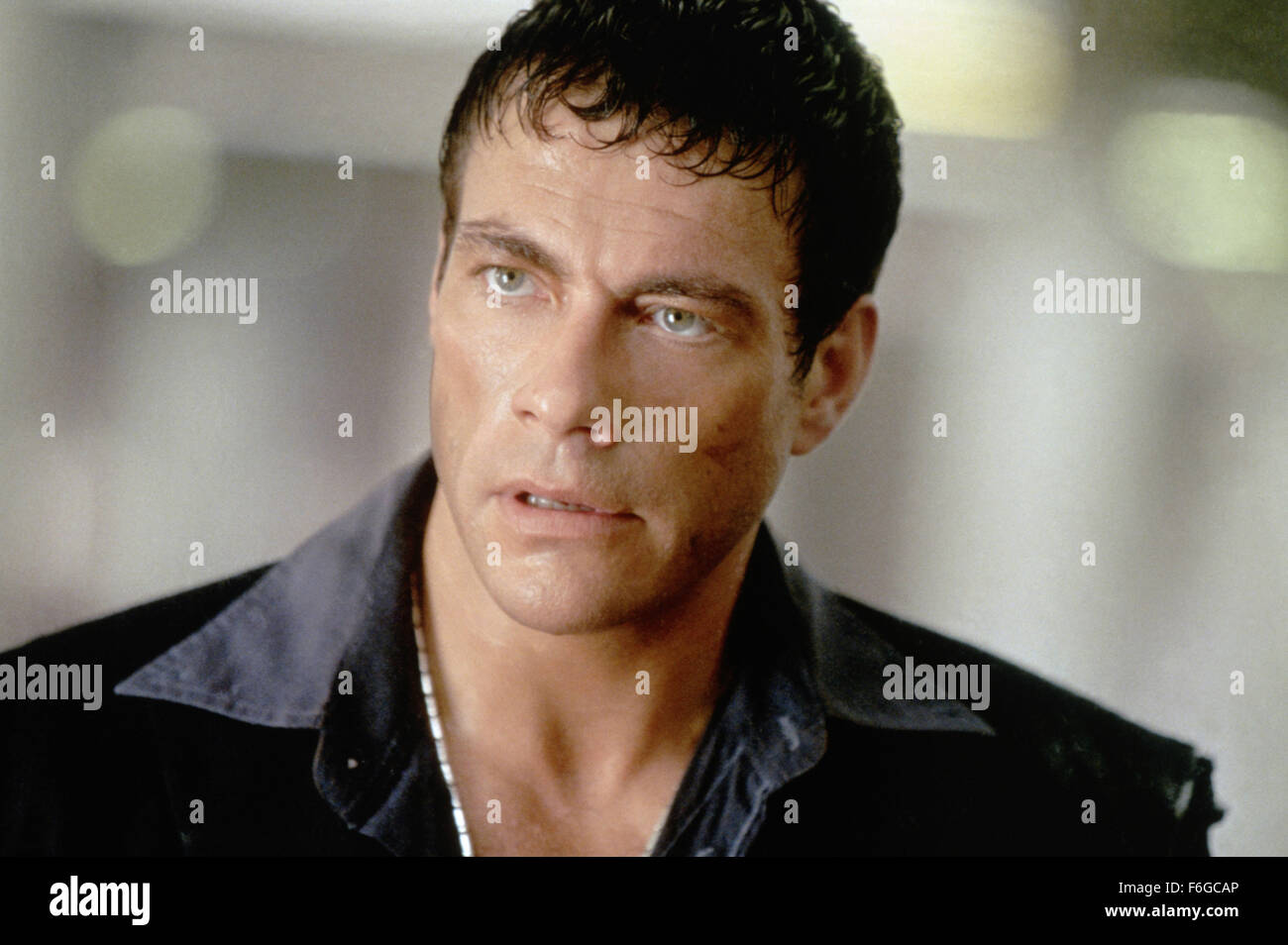 DATE DE SORTIE : 4 septembre 1998. Titre du film : Knock Off. STUDIO : MDP dans le monde entier. Terrain : A Hong Kong Fashion designer (Jean Claude Van Damme, si vous pouvez croire que la facturation) qui avait déjà participé à frapper d'un label majeur de la marchandise, comme asPumma chaussures de course, les tentatives d'aller tout droit à l'aide de son nouveau partenaire (Rob Schneider), qui est secrètement un agent secret de la CIA agent impliqué dans une enquête sur le marché noir. Leur principal produit, jeans, est impliqué dans les licenciements, qui réunit un représentant (Lela Rochon) de la société américaine d'enquêter. Paul Sorvino als Banque D'Images