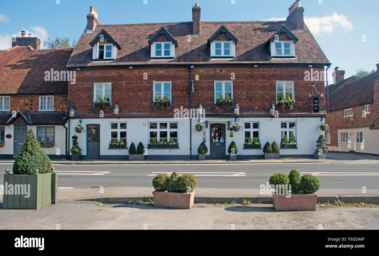Chichester Swan Inn Surrey England Banque D'Images