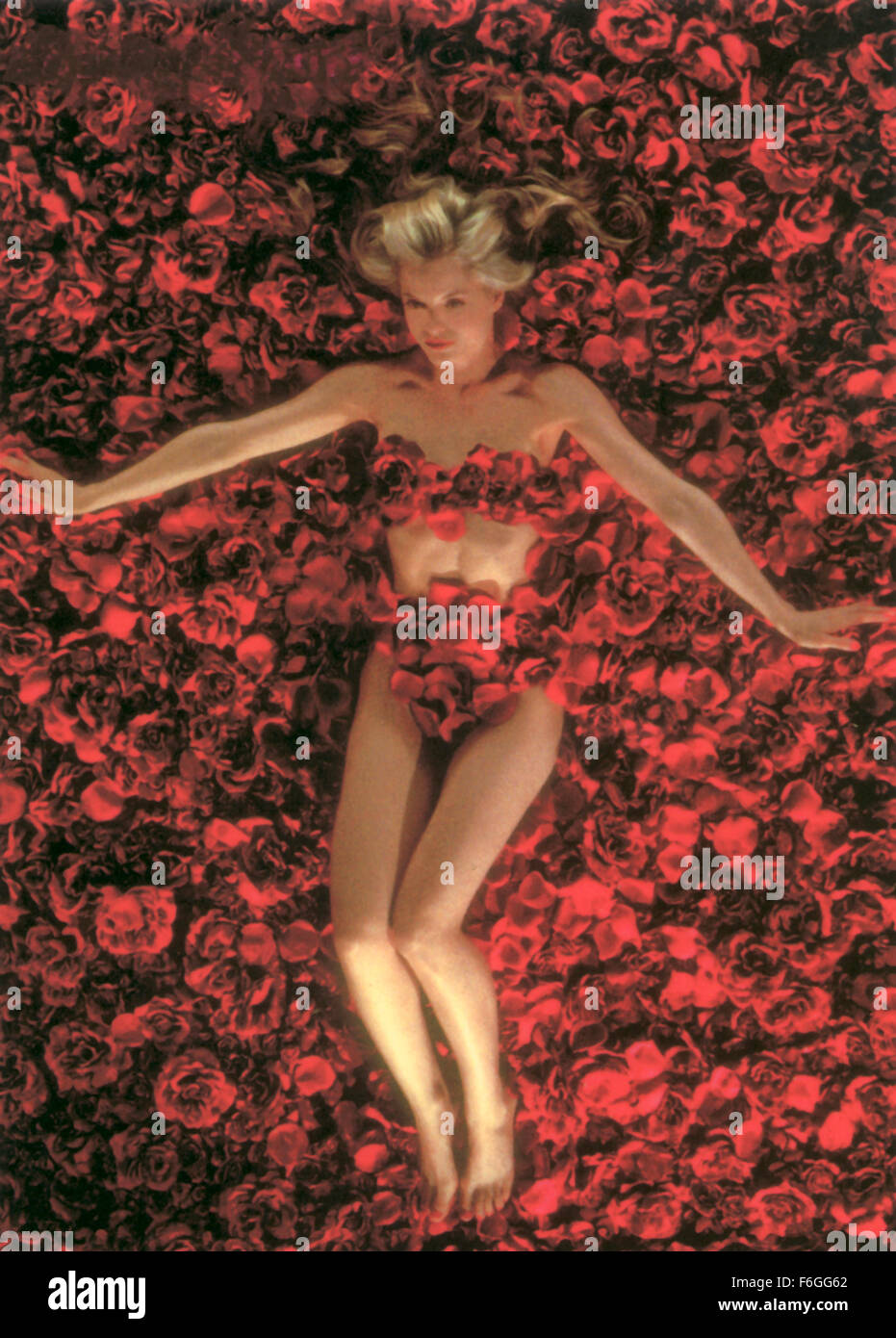 DATE DE SORTIE : Septembre 08, 1999. Titre du film : American Beauty. STUDIO : DreamWorks. PLOT : Lester et Carolyn Burnham sont sur l'extérieur, un parfait mari et femme, dans une maison parfaite, dans un quartier idéal. Mais à l'intérieur, Lester est de glisser de plus en plus profondément dans une dépression sans espoir. Enfin, il s'enclenche lorsqu'il s'entiche d'un des amis de sa fille. Pendant ce temps, sa fille Jeanne est l'élaboration d'une bonne amitié avec un garçon timide-prochain-porte nommé Ricky, qui vit avec un père homophobe. MENA SUVARI PHOTO :. Banque D'Images