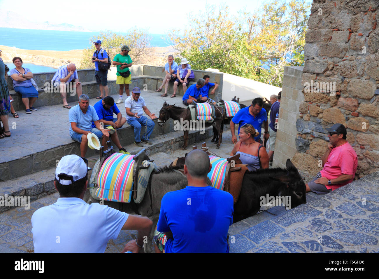 Les ânes se reposant à l'Acropole, Lindos, Rhodes, Grèce. Banque D'Images Les ânes se reposant à l'Acropole, Lindos, Rhodes, Grèce. Banque D'Images
