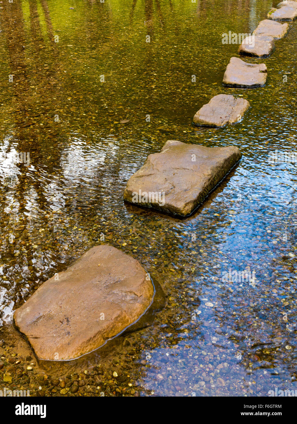 Stepping Stones sur un ruisseau calme avec arbres se reflétant dans l'eau Banque D'Images
