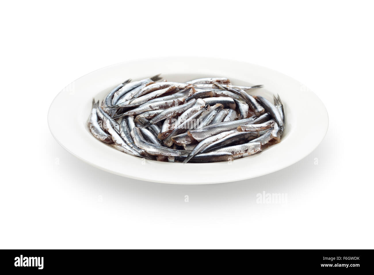 Anchois frais Fruits de mer sans la tête avec son ombre sur fond blanc Banque D'Images Anchois frais Fruits de mer sans la tête avec son ombre sur fond blanc Banque D'Images