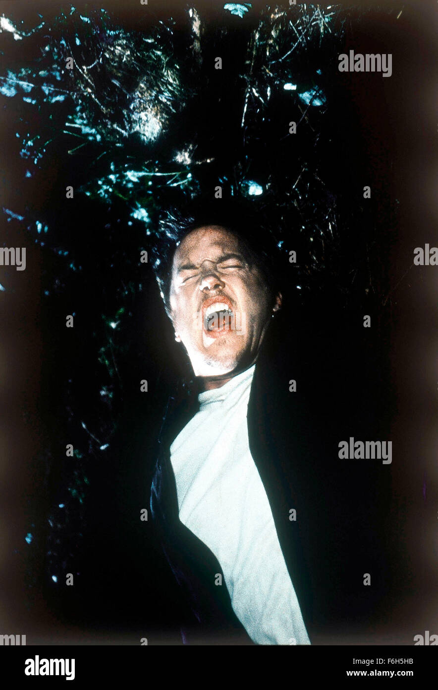 DATE DE SORTIE : Février 20, 2002 TITRE DE LA VIDÉO : Pression STUDIO : freiner Entertainment résumé : deux étudiants med doivent lutter pour survivre à la suite d'un incident inhabituel catapulte dans un monde de l'ennui. LOCHLYN MUNRO comme sur la photo : Patrick Fisher. Banque D'Images