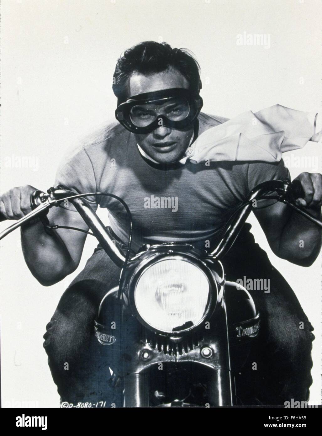1954, le titre du film : Un sauvage, Directeur : LASLO BENEDEK, Photo : Marlon  Brando, moto, véhicule, lunettes, le vent, l'équitation, du cou foulard,  rebelle, TOUGH GUY, Bad Boy, l'action. (Crédit