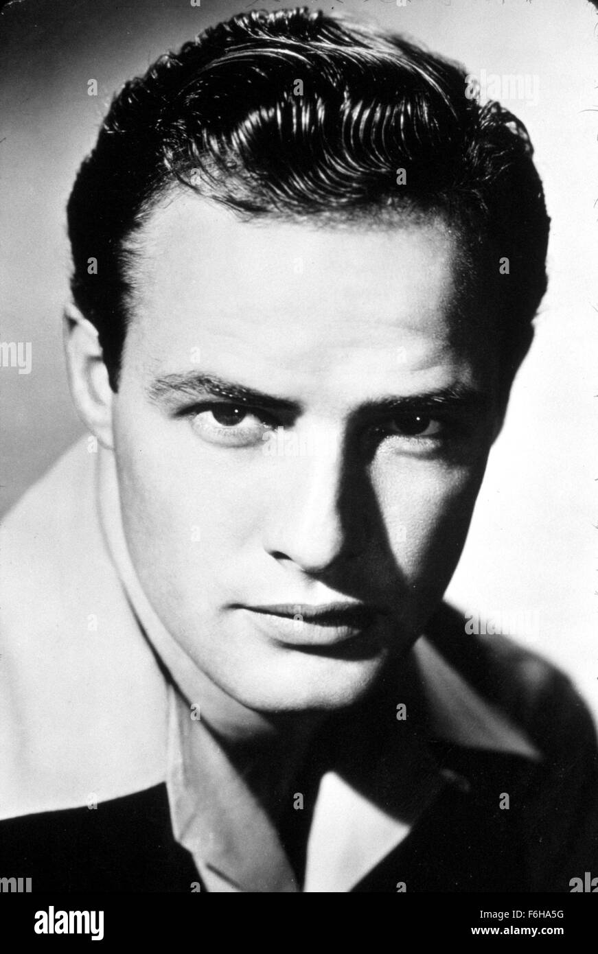 1950, le titre du film : LES HOMMES, Directeur : Fred Zinnemann, Photo : Marlon Brando, HEAD SHOT, studio, PORTRAIT, - cheveux lissés. (Crédit Image : SNAP) Banque D'Images