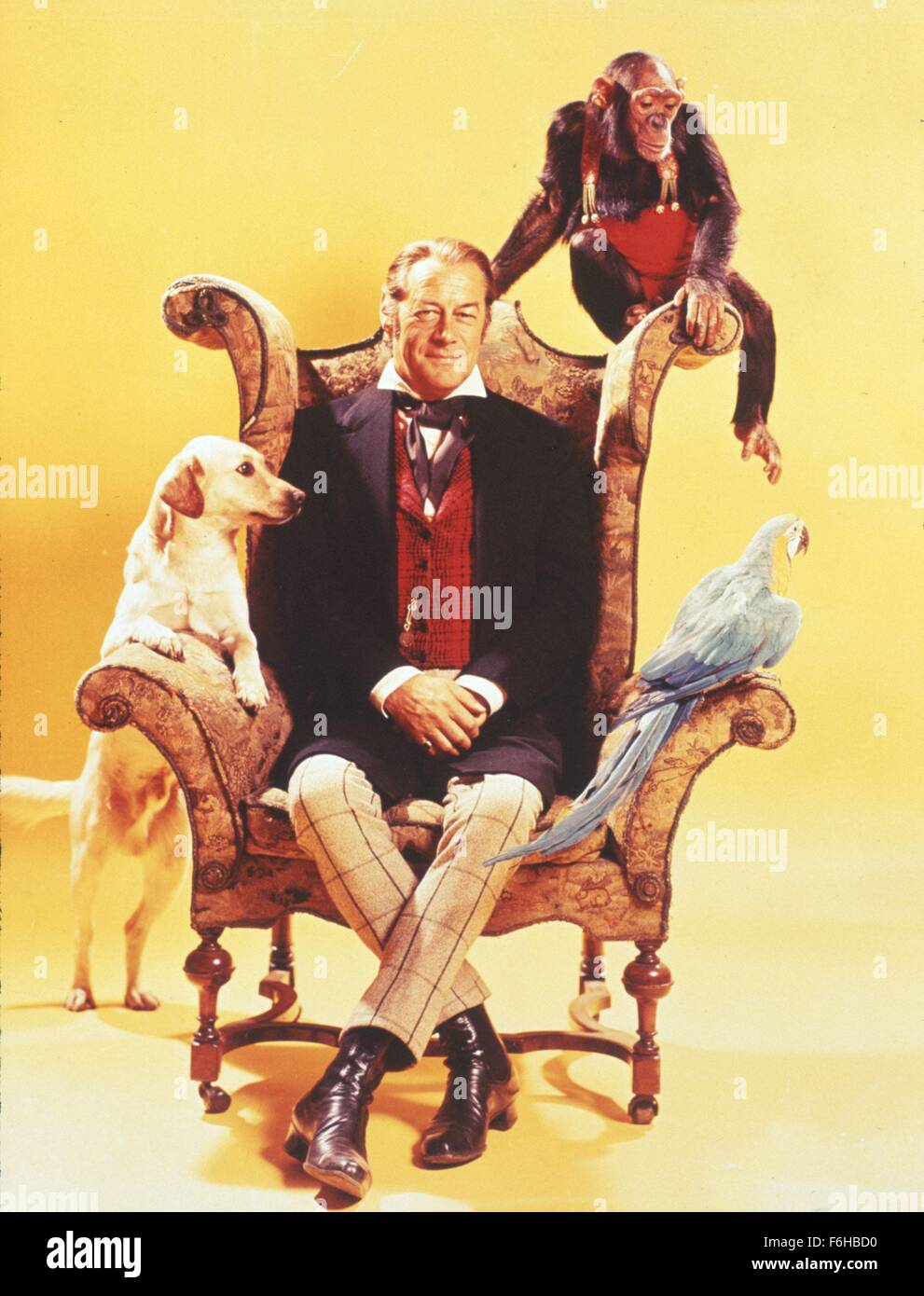 1967, le titre du film : Docteur Dolittle, Directeur : RICHARD FLEISCHER, Photo : CHIMP, chien, RICHARD FLEISCHER. (Crédit Image : SNAP) Banque D'Images