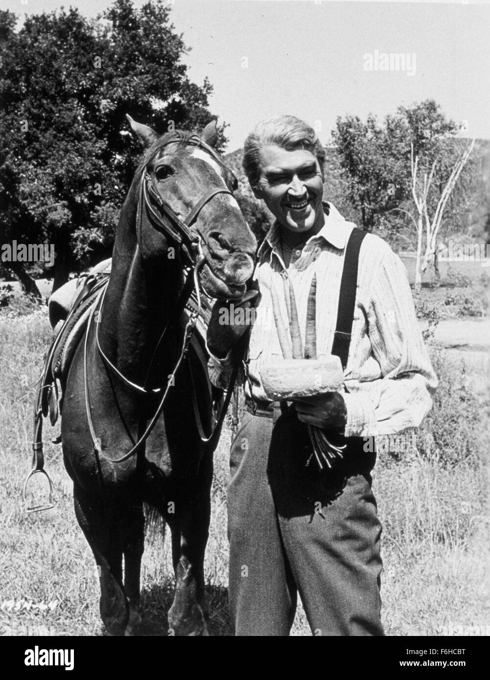 1965, le titre du film : SHENANDOAH, Directeur : Andrew McLAGLEN, Studio : UNIV, Photo : LES ANIMAUX (avec des acteurs), Cheval, Andrew McLAGLEN. (Crédit Image : SNAP) Banque D'Images