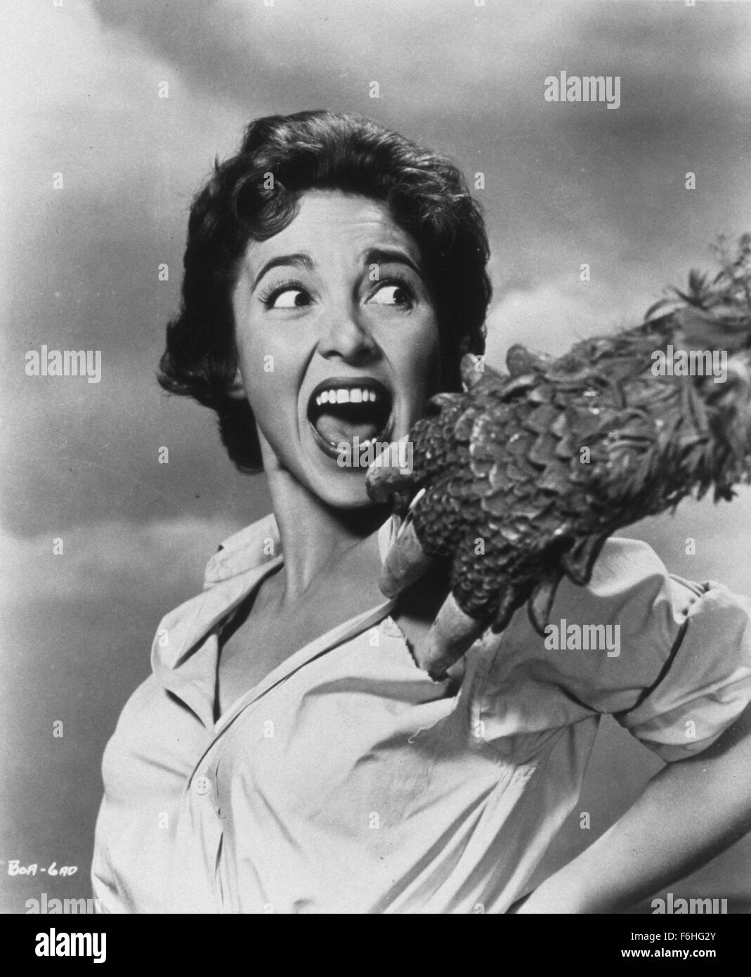 1956, le titre du film : CURUCU, BÊTE DE L'AMAZON, Directeur : CURT SIODMAK, Studio : UNIVERSAL, présenté : BEVERLY GARLAND, CRIS, CURT SIODMAK, LES FEMMES EN DANGER. (Crédit Image : SNAP) Banque D'Images