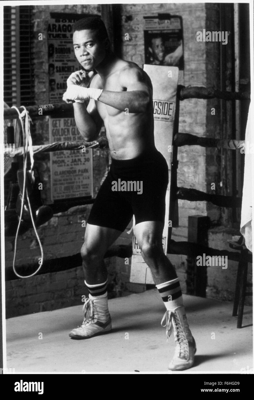 1992, le titre du film : Gladiator, Réalisateur : ROWDY HERRINGTON, Studio : COLUMBIA, présenté : Boxe, CUBA GOODING JR, ROWDY HERRINGTON. (Crédit Image : SNAP) Banque D'Images