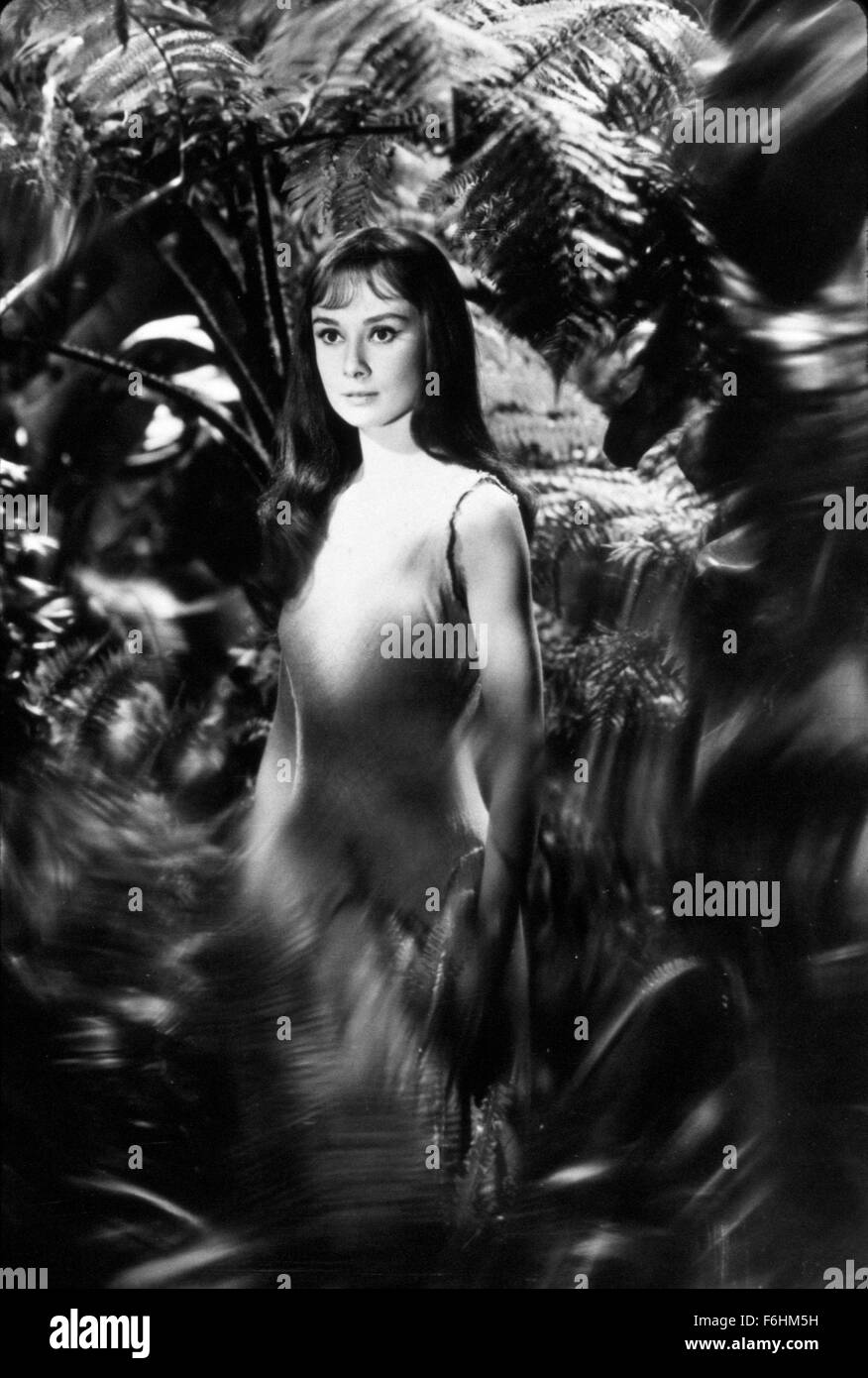 1959, le titre du film : GREEN MANSIONS, Directeur : MEL FERRER, Studio : MGM, Photo : Audrey Hepburn, d'arbustes, arbres, jardin, extérieur, NUIT, FERAL. (Crédit Image : SNAP) Banque D'Images