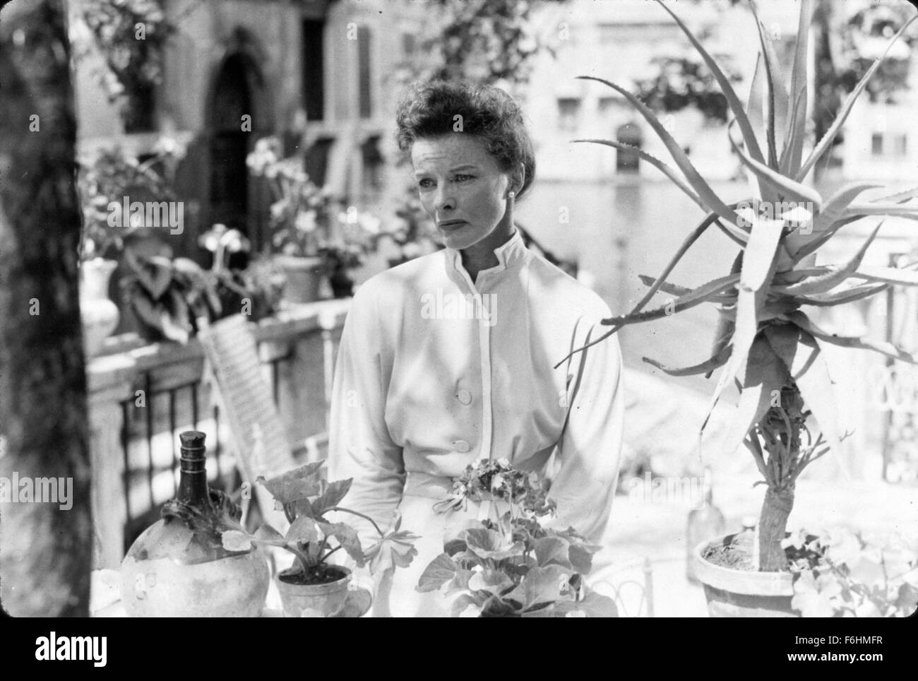 1955, le titre du film : été, Directeur : DAVID LEAN, Studio : UA, Photo : Katharine Hepburn, DAVID LEAN, arrosage des plantes, l'inquiétude, la tristesse, la tristesse, le désespoir, les plantes, les plantes en pot, cactus, plantes grasses, à l'extérieur, EN PLEIN AIR, ensoleillée, FILM STILL. (Crédit Image : SNAP) Banque D'Images