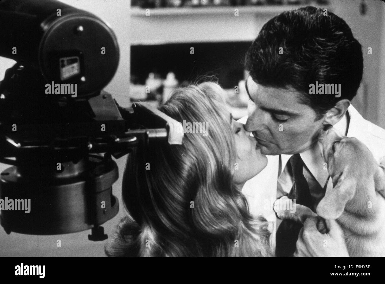 DATE DE SORTIE : Juillet 11, 1980 Titre de la vidéo : Comment battre le coût élevé de la vie STUDIO : Cinema 77 Réalisateur : Robert Scheerer PLOT : Oregon, 1980 : Jane, Elaine et Louise sont tous de ressentir les effets de l'inflation et ne peut pas se permettre, comme le titre l'indique, le coût élevé de la vie. Jane ne peut pas se permettre une gardienne ou se marier et si elle veut de l'intimité avec son petit ami, elle doit dormir dans la voiture sur la photo : RICHARD BENJAMIN comme Albert et Jessica Lange que Louise (crédit Image : cinéma Films 77 c/photos) Banque D'Images