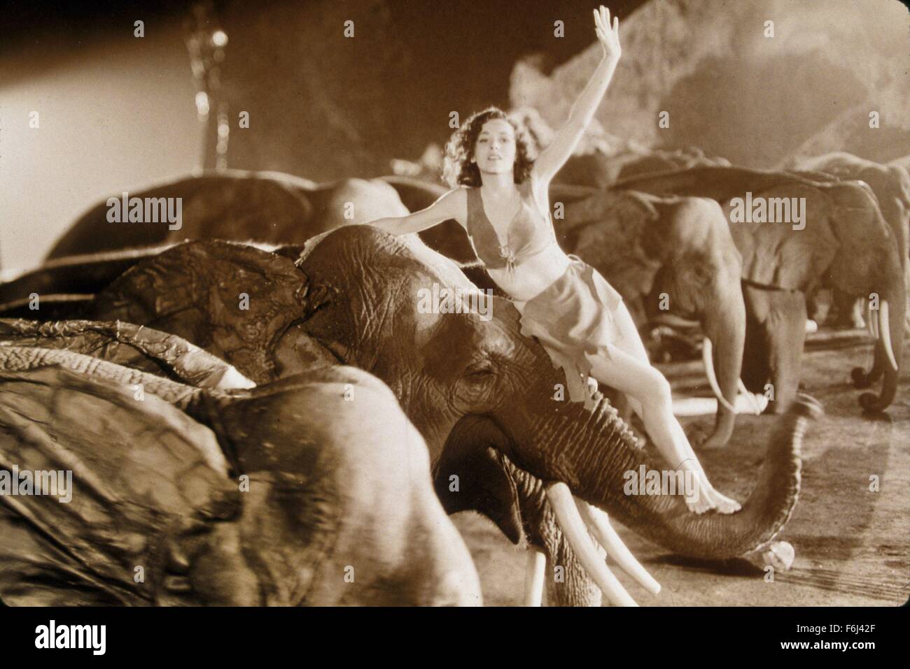 1934, le titre du film : Tarzan et sa compagne, Directeur : CEDRIC GIBBONS, Studio : MGM, Photo : LES ANIMAUX (avec des acteurs), caractère, Éléphant, CEDRIC GIBBONS, Maureen O'SULLIVAN. (Crédit Image : SNAP) Banque D'Images