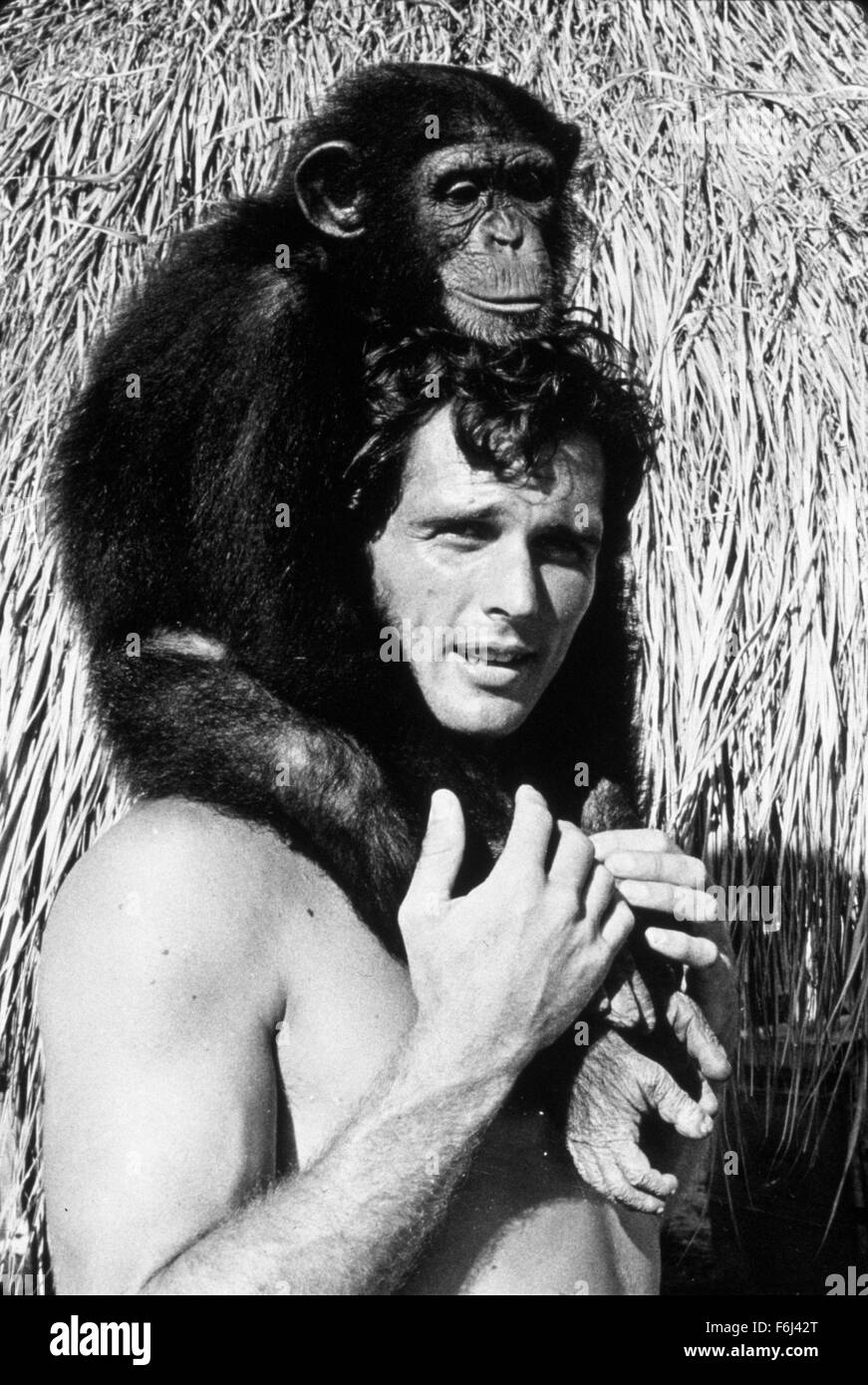 1970, le titre du film : TARZAN'S JUNGLE RÉBELLION, Photo : LES ANIMAUX (avec des acteurs), de caractère, de chimpanzé, RON ELY. (Crédit Image : SNAP) Banque D'Images