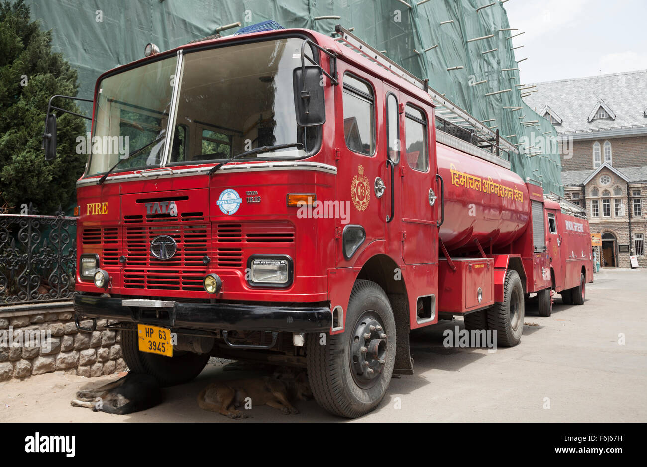 Les chiens dormir sous des camions de pompiers de Shimla, capitale de l'état indien du nord de l'Himachal Pradesh, Inde Banque D'Images