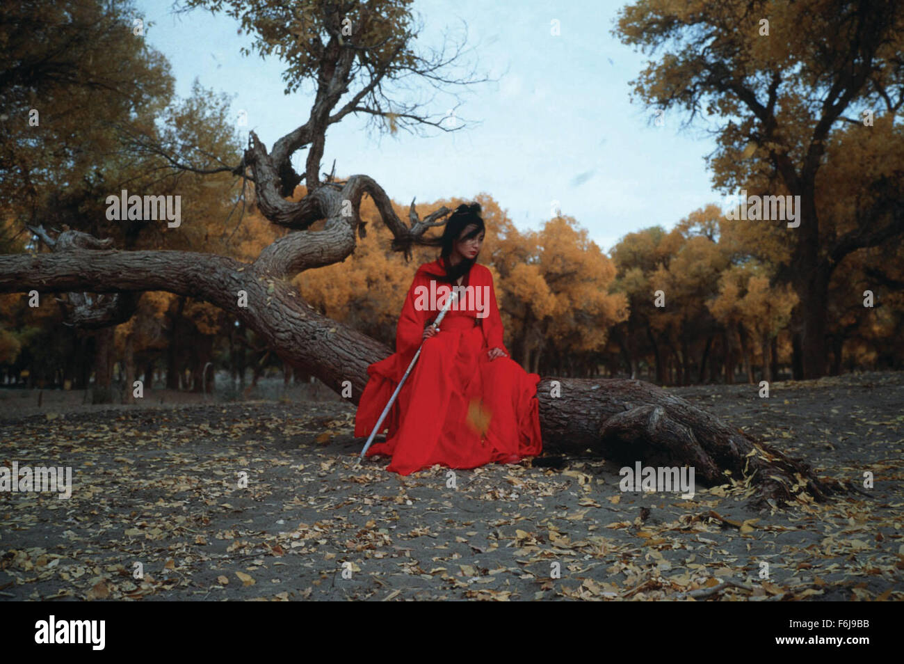 Jan 14, 2003 ; Chine Zhang Ziyi actrice;étoile comme dans 'Hero'. Banque D'Images