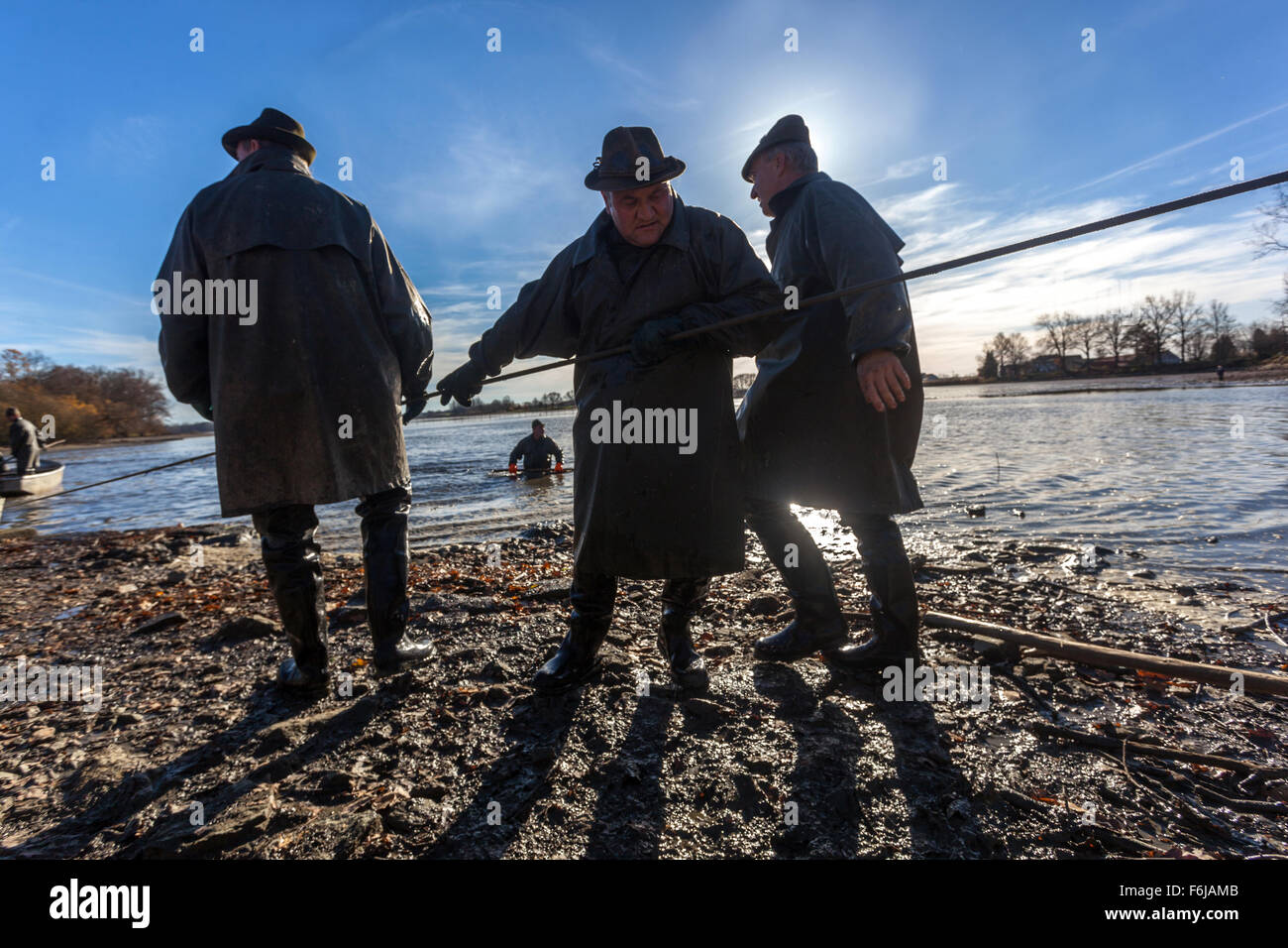 La récolte traditionnelle de la carpe, près du village. Bošilec La Bohême du Sud en République tchèque, des filets de pêcheurs tirant Banque D'Images La récolte traditionnelle de la carpe, près du village. Bošilec La Bohême du Sud en République tchèque, des filets de pêcheurs tirant Banque D'Images