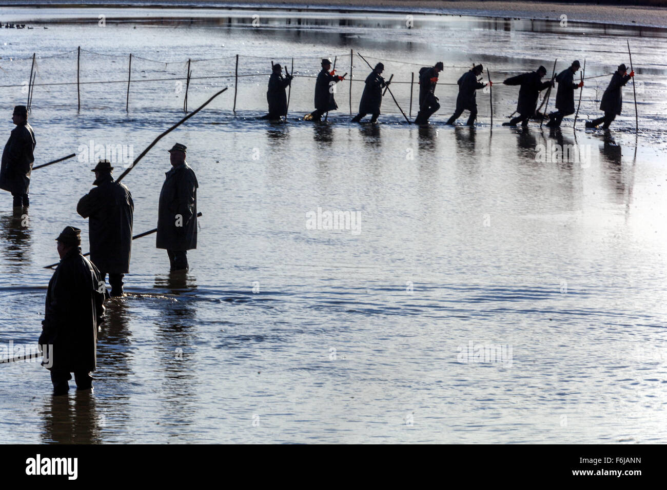 Les pêcheurs dans une rangée de filets de pêche traditionnelle en République tchèque étang des carpes Bosilec. La Bohême du Sud, République Tchèque Banque D'Images Les pêcheurs dans une rangée de filets de pêche traditionnelle en République tchèque étang des carpes Bosilec. La Bohême du Sud, République Tchèque Banque D'Images
