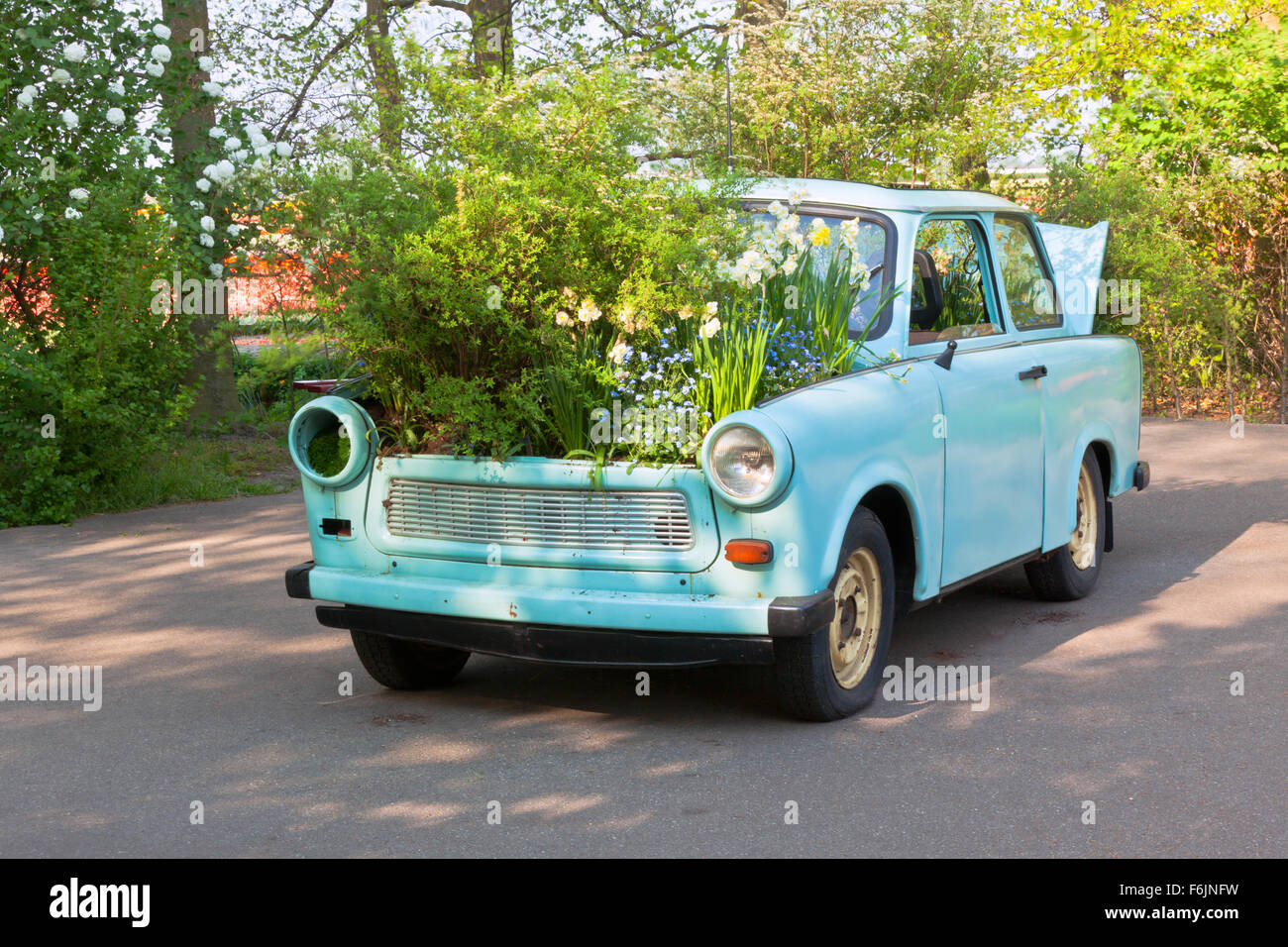 Parterre dans une vieille petite voiture comme décoration de jardin en style rustique Banque D'Images