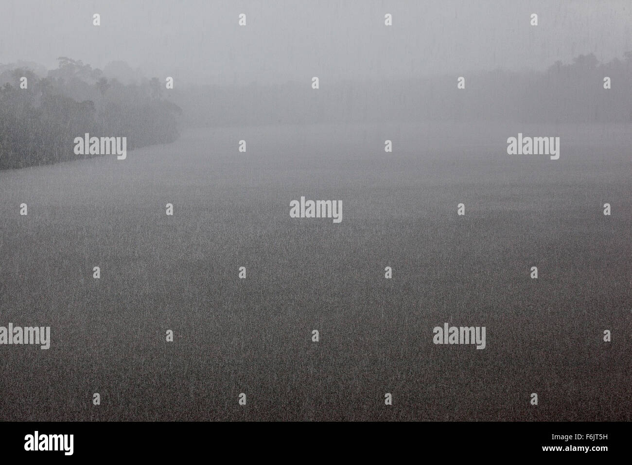 Une averse tropicale dans un lac d'Oxbow en forêt tropicale péruvienne. Banque D'Images