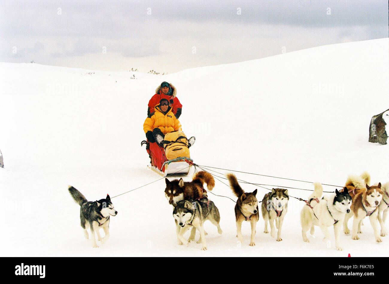 DATE DE SORTIE : Février 17, 2006. Titre du film : 8 ci-dessous. STUDIO : Walt Disney Pictures. Résumé : Dans l'Antarctique, après une expédition avec le Dr Davis McClaren, l'entraîneur de chien de traîneau Jerry Berger doit quitter la base polaire avec ses collègues en raison de la proximité d'une tempête de neige. Il lie ses chiens pour être secourus après, mais la mission s'appelle le décollage et les chiens sont laissés seuls à leur propre fortune. Pendant six mois, Jerry tente de trouver un parrain pour une mission de sauvetage tandis que ses chiens lutte pour la survie. Sur la photo : Paul Walker (à gauche) en tant que guide de l'Antarctique Jerry Smith et Bruce Greenwood comme chercheur scientifique D Banque D'Images