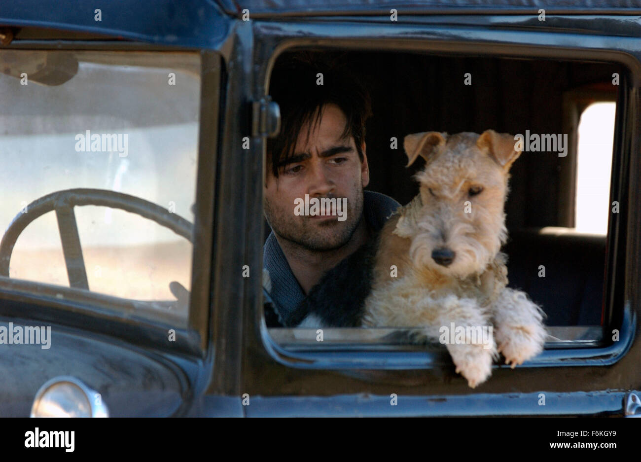 Oct 05, 2006 ; Los Angeles, CA, USA ; DATE DE SORTIE : 2 février 2006. Directeur : Robert Towne. STUDIO : Paramount Pictures. Résumé : Dans le Robert Towne-dirigé l'adaptation de John Fante l'époque de la dépression du roman, Hayek va jouer la beauté mexicaine fiery Camilla qui espère s'élever au-dessus de sa gare en épousant un riche Américain. C'est compliquée par séance Arturo Bandini (Farrell), un italien de première génération dans l'espoir d'une carrière d'écriture des terres et une blonde aux yeux bleus sur son bras. Sur la photo : Colin Farrell, Arturo Bandini et son chien. Crédit obligatoire : Photo par Paramount Pictures. (C) copyright 2 Banque D'Images