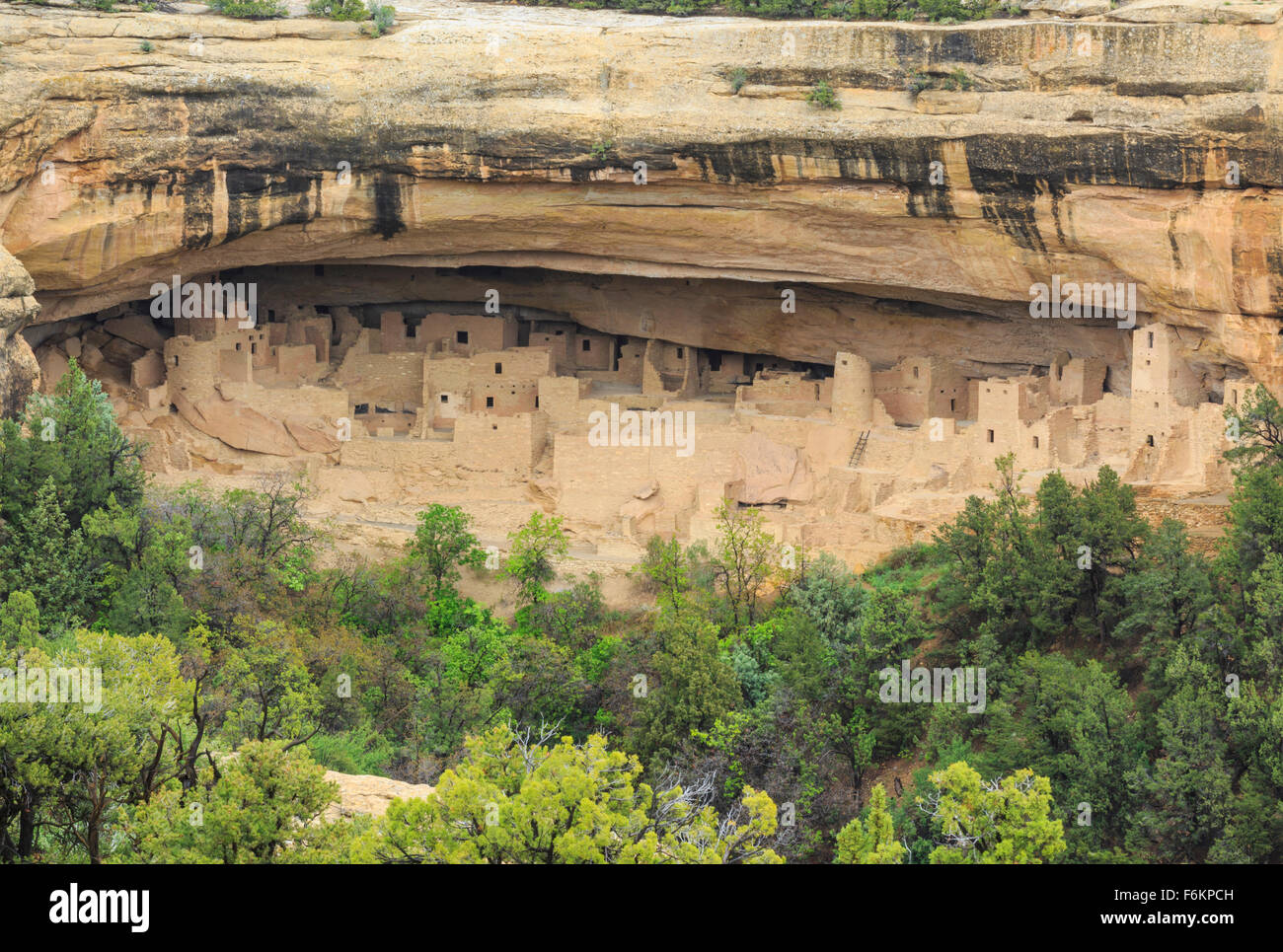 Cliff Palace à Mesa Verde National Park près de Cortez, Colorado Banque D'Images